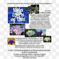 ������ƹ��廨-������