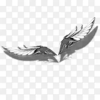 银银-空若网 银银-空若网