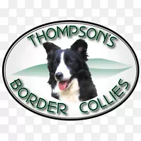 Ȯ�ֱ߾�����Ȯ��׳����Ȯ����-�Ĵ���������Ȯ�߾�����Ȯ-������