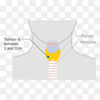 品牌产品设计材料能源-空若网 品牌产品设计材料能源-空若网