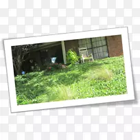 �����������ʲ�-��ޱ-������