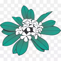 花瓣区系对称剪贴画图案-xB-空若网 花瓣区系对称剪贴画图案-xB-空若网