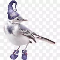 Adobe Photoshop图像png图片衣服蓝鸟-鸽子12 0 1-空若网 Adobe Photoshop图像png图片衣服蓝鸟-鸽子12 0 1-空若网