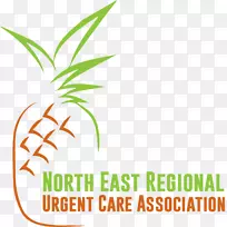 叶夹艺术草植物茎麻叶-空若网 叶夹艺术草植物茎麻叶-空若网