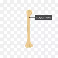 产品设计匙-空若网 产品设计匙-空若网