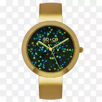 ģ���Ů��-������