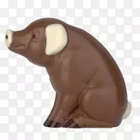 Öí±Ç-¿ÕÈôÍø Öí±Ç-¿ÕÈôÍø