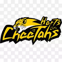 图标插图昆虫剪贴画字体昆虫-空若网 图标插图昆虫剪贴画字体昆虫-空若网