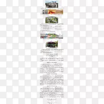 ������Ʒ�������-������