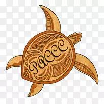 海龟塘龟食物-文化-空若网 海龟塘龟食物-文化-空若网