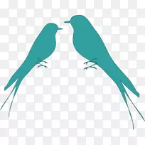 �������ļ�Ӱ������-��ɫ���������-������