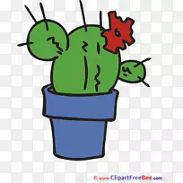 剪贴画植物开花植物绿色食品卡通仙人掌-空若网 剪贴画植物开花植物绿色食品卡通仙人掌-空若网