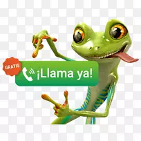 ���ܵ绰�����绰IP�绰�̵�-��������-������