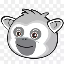 ������ѧ���ӽ���������ѧ����ѧ��-������