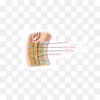 拇指产品设计脊髓脊柱设计-空若网 拇指产品设计脊髓脊柱设计-空若网