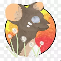 胡须,猫夹,艺术插图,鼻子-猫-空若网 胡须,猫夹,艺术插图,鼻子-猫-空若网