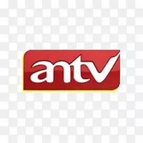 标志产品设计品牌字体设计-空若网 标志产品设计品牌字体设计-空若网