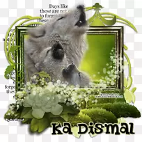 ��ϵͼƬCuadro�������-����-������