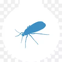 ÎõûÀàÀ¥³æ-¿ÕÈôÍø ÎõûÀàÀ¥³æ-¿ÕÈôÍø