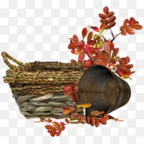 �������ͼ�������-Ҷ����-������