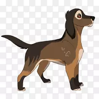 犬种小狗伴犬鼻子-温柔而安静-空若网 犬种小狗伴犬鼻子-温柔而安静-空若网