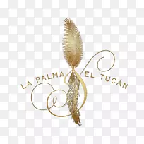 商品草字体家族特色咖啡-空若网 商品草字体家族特色咖啡-空若网