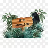 �����-����������-������