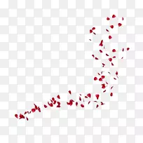 png图片花瓣桌面壁纸adobe Photoshop图像-dslr-空若网 png图片花瓣桌面壁纸adobe Photoshop图像-dslr-空若网