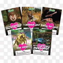 广告产品动物情人节销售-空若网 广告产品动物情人节销售-空若网