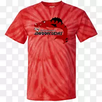 t�������װ.TyeȾ��-������