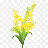 相思纸切花含羞草-空若网 相思纸切花含羞草-空若网