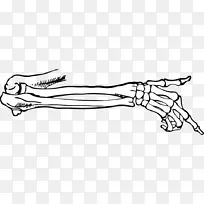 ��ָ����EP�ǹؽڼ����ֹ���-������