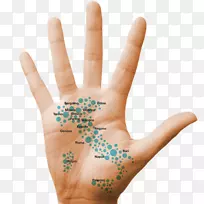 �����Զ����׼�����ϵͳ��ȫ����ѧ����-������