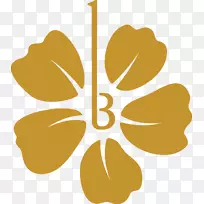 剪贴画花瓣果开花植物-烟花盛开-空若网 剪贴画花瓣果开花植物-烟花盛开-空若网