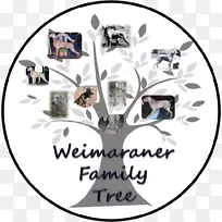 商标字体剪贴画动物-格蕾丝凯利-空若网 商标字体剪贴画动物-格蕾丝凯利-空若网