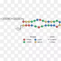 车身珠宝技术字体线-双目-空若网 车身珠宝技术字体线-双目-空若网