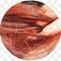 发色近橙色-空若网 发色近橙色-空若网