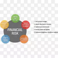财务风险经营风险度量风险管理财务管理-空若网 财务风险经营风险度量风险管理财务管理-空若网