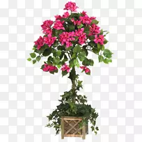 ����Ȼ���˹�����-������