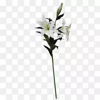 �ٺϻ�ͼ�����-�ٺ�-������