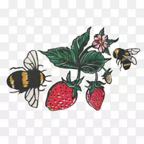 草莓剪贴画昆虫水果生产.草莓-空若网 草莓剪贴画昆虫水果生产.草莓-空若网