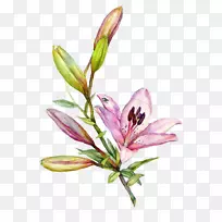 �ٺ�ˮ�ʻ���ͼ.�ֻ�ٺ�-������