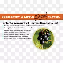 ���ѳ�ʳ��ȻʳƷ-����-������