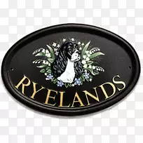 ��־����-��Ь��Ȯ-������