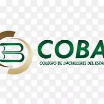 �������̱��Ʒ���-LOGO��ѧ-������