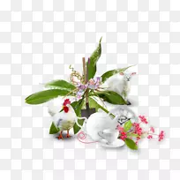 切花开花植物分枝-皮埃尔约瑟夫-空若网 切花开花植物分枝-皮埃尔约瑟夫-空若网