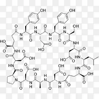 分枝杆菌素干草芽孢杆菌环肽默克指数-枯草杆菌-空若网 分枝杆菌素干草芽孢杆菌环肽默克指数-枯草杆菌-空若网