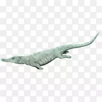 ���㺣����Ⱥ½������ˮ������-������