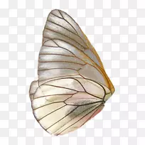 ����pngͼƬ���������PSD-����-������