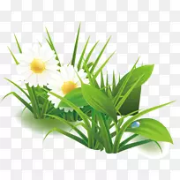 �̰ٺϻ�Ұ���ٺ�����Ԫ��-������